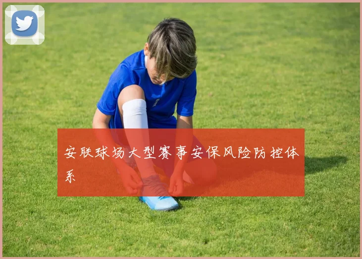 安联球场大型赛事安保风险防控体系