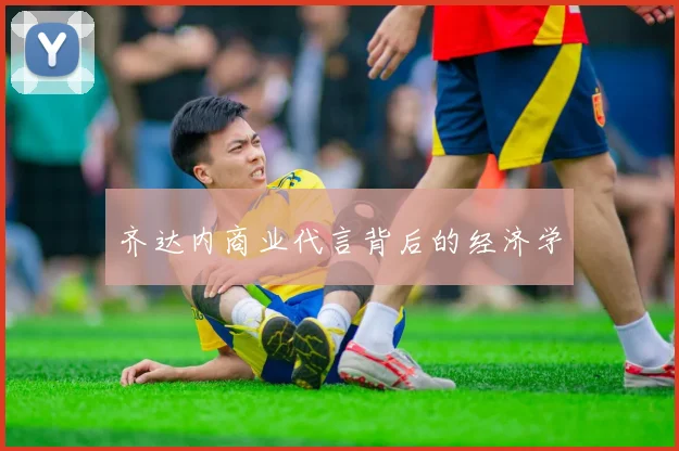 齐达内商业代言背后的经济学