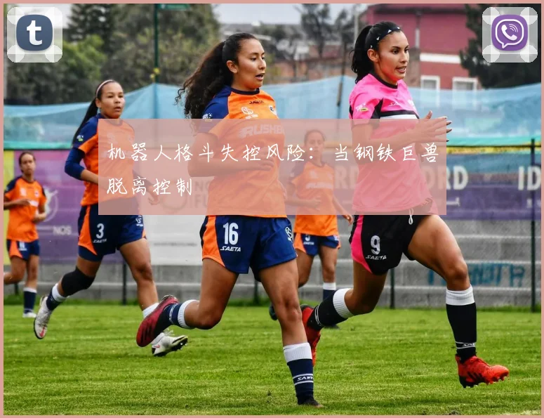 机器人格斗失控风险：当钢铁巨兽脱离控制