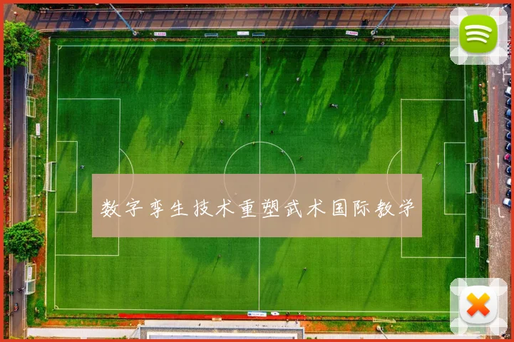 数字孪生技术重塑武术国际教学